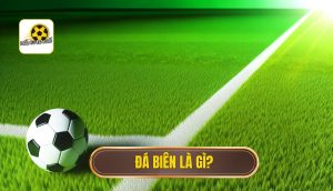 Đá biên là gì