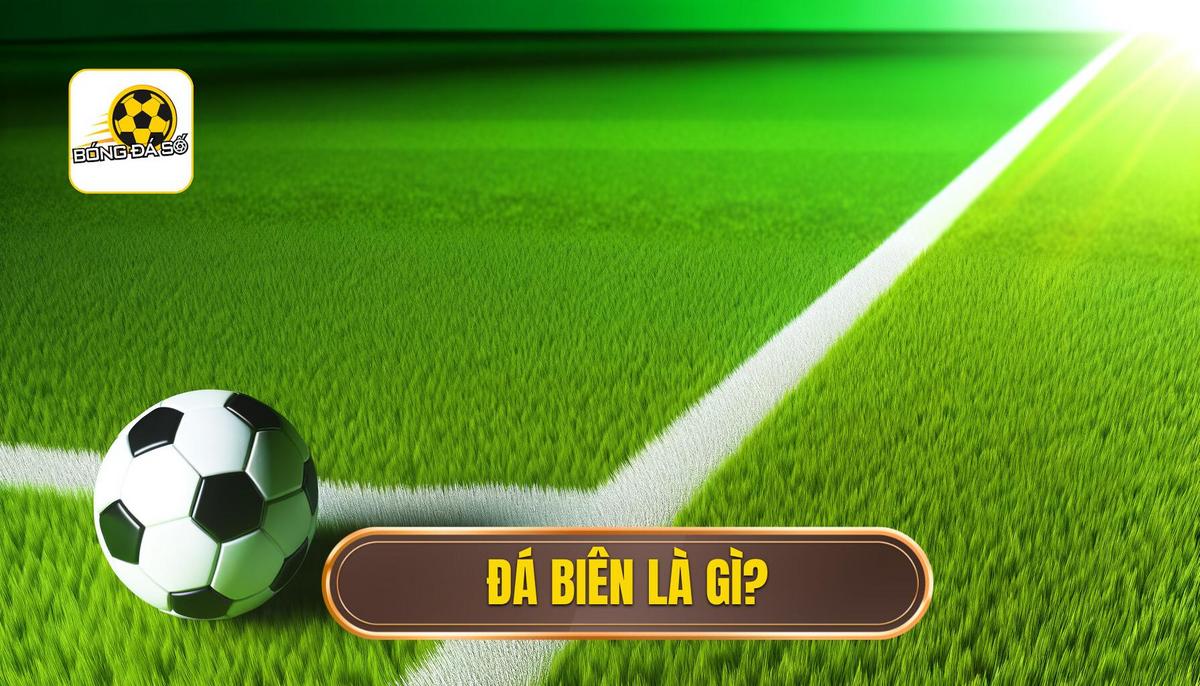 Đá biên là gì