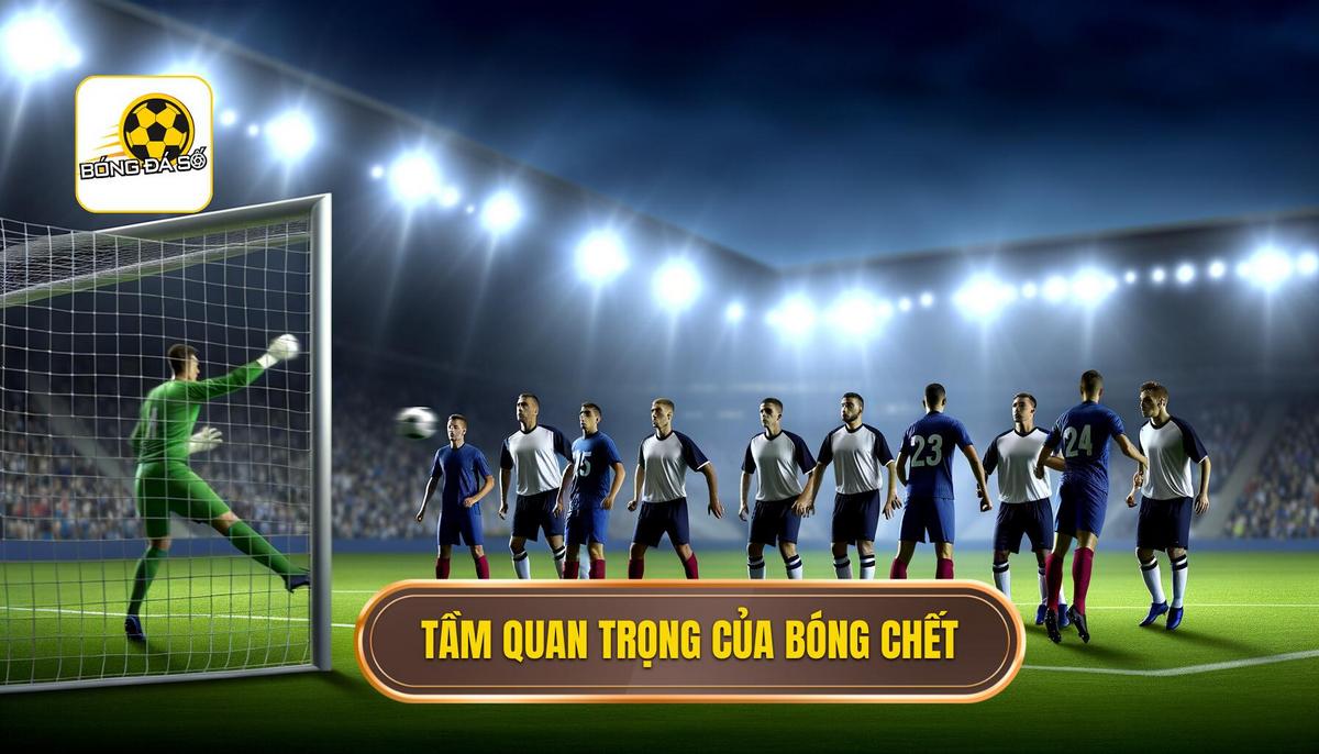 Tại sao bóng chết lại quan trọng_