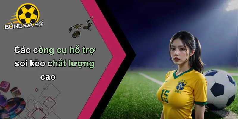 Cẩm Nang Soi Kèo Cho Người Mới Bắt Đầu