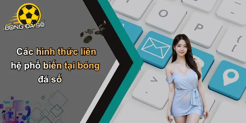 Liên Hệ