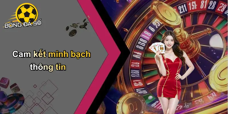 Điều Khoản Điều Kiện
