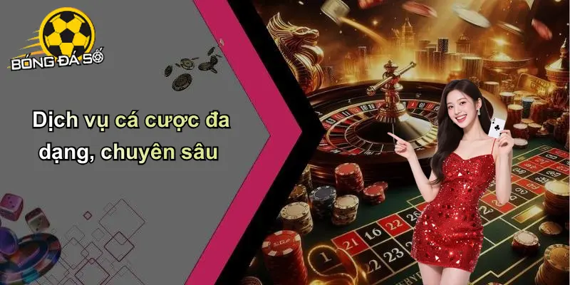 Về Chúng Tôi
