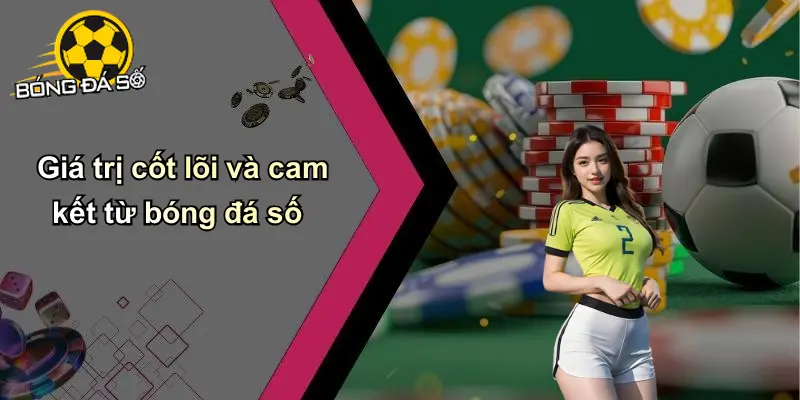 Về Chúng Tôi