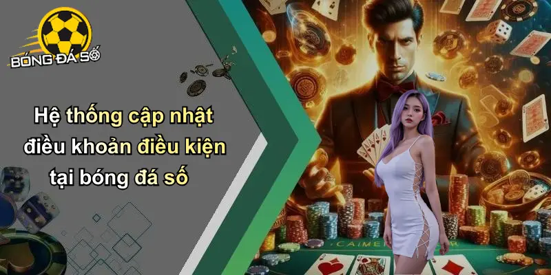 Điều Khoản Điều Kiện