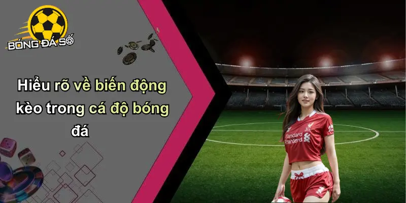 Phân tích biến động kèo