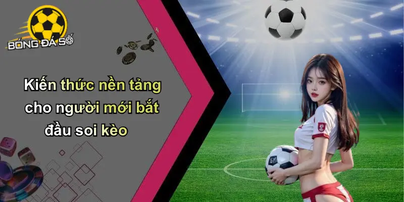 Cẩm Nang Soi Kèo Cho Người Mới Bắt Đầu