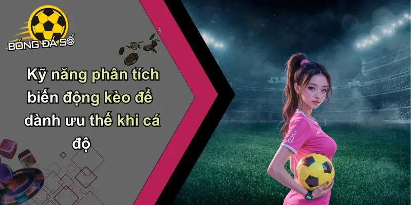 Phân tích biến động kèo