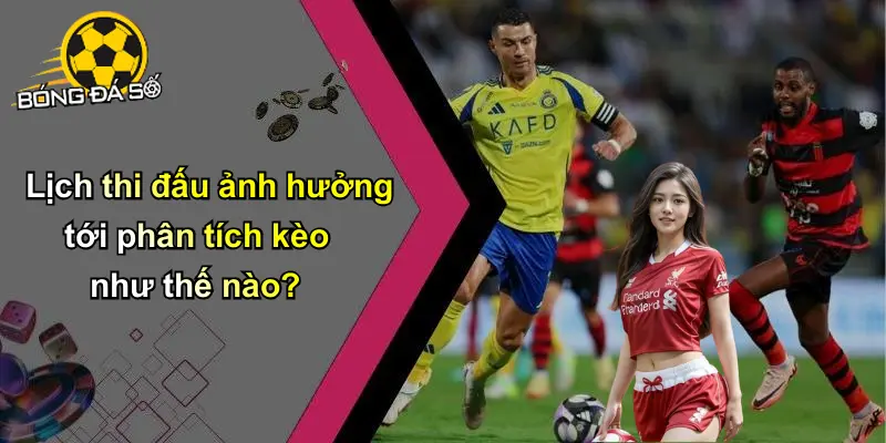 Lịch thi đấu