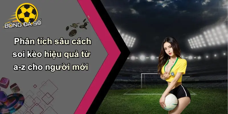 Cẩm Nang Soi Kèo Cho Người Mới Bắt Đầu