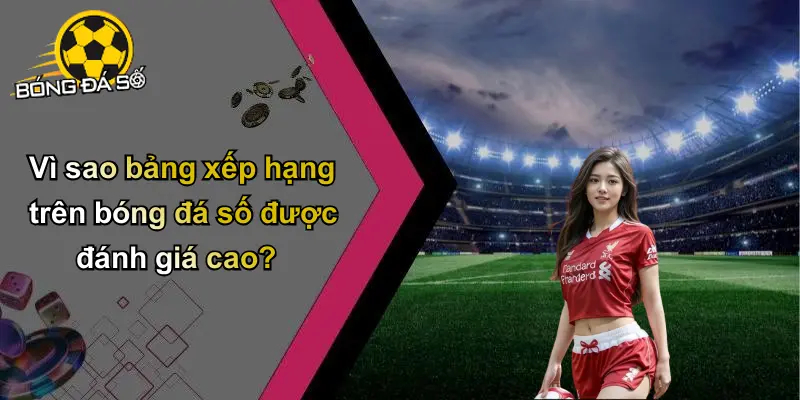 Bảng Xếp Hạng