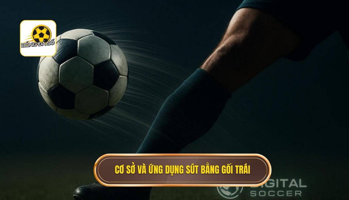 Phần 1_ Cơ sở khoa học và ứng dụng của Kỹ thuật sút bóng bằng đầu gối trái