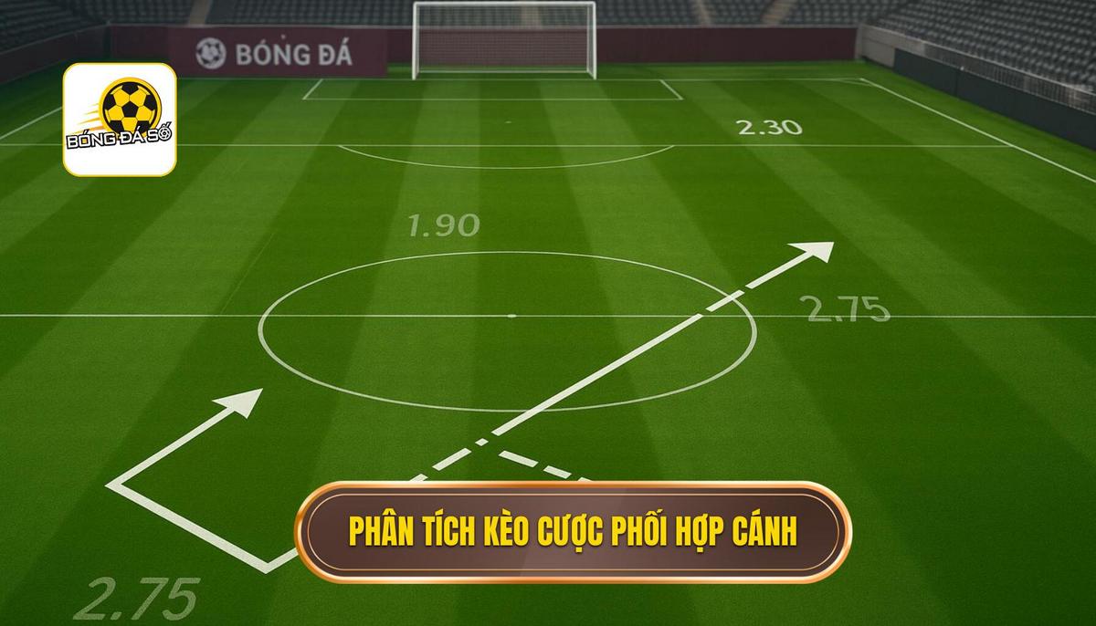 Phân Tích Cơ Bản Về Kèo Cược Phối Hợp Cánh