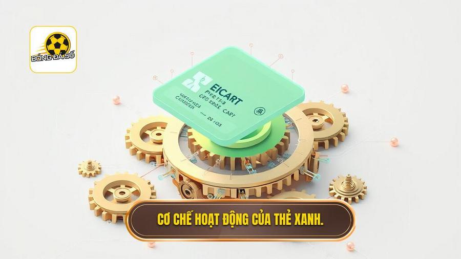 3. Cơ chế hoạt động của thẻ xanh.