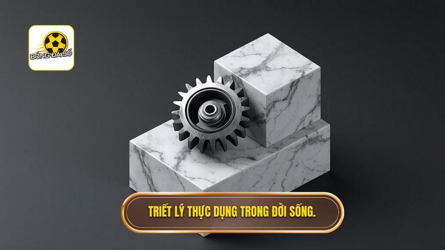 Triết lý cốt lõi: Sự thực dụng lên ngôi