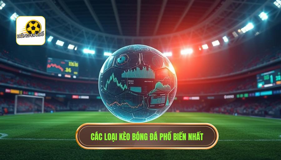 Các loại kèo phổ biến khi soi kèo từ bóng đá số