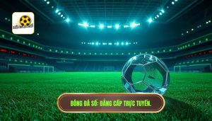 Bóng Đá Số Trực Tuyến - Cập Nhật Kết Quả, Tỷ Lệ Kèo 24/7