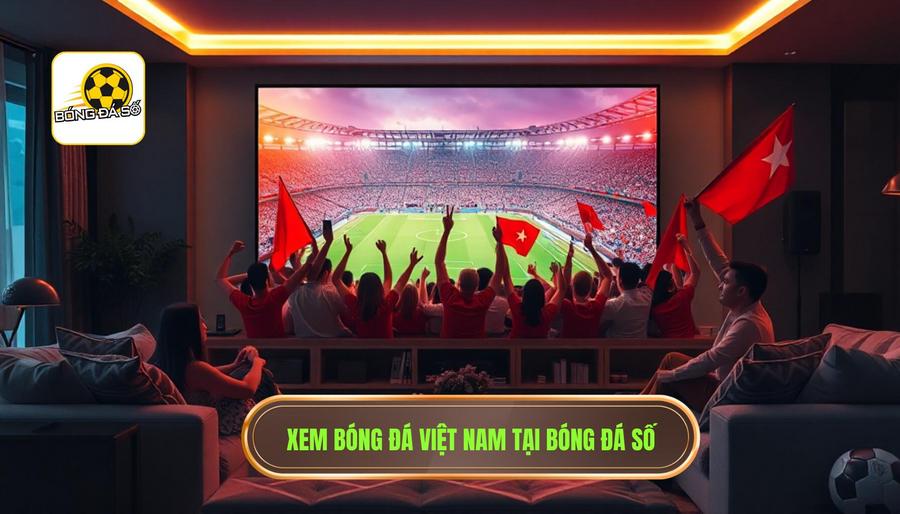 Xem bóng đá Việt Nam tại Bóng Đá Số