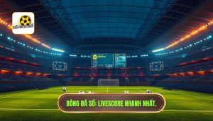 Bóng Đá Số_ Livescore nhanh nhất.