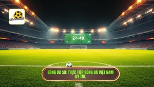 Bóng Đá Số_ Trực tiếp bóng đá Việt Nam uy tín.