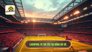 Liverpool FC Tin Tức: Cập Nhật Mới Nhất Về Chuyển Nhượng Và Phong Độ